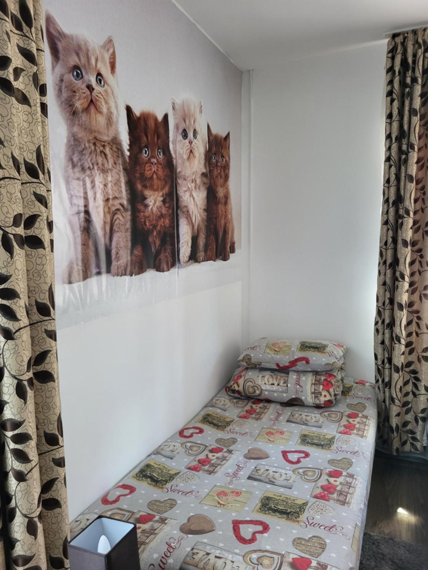 Casa Raraului Villa Campulung Moldovenesc Bagian luar foto